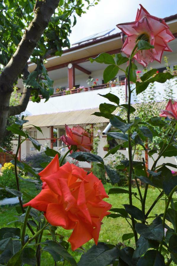 Casa Gia Hotell Costinesti Eksteriør bilde